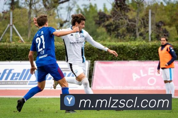 米兰milan官网品牌故事